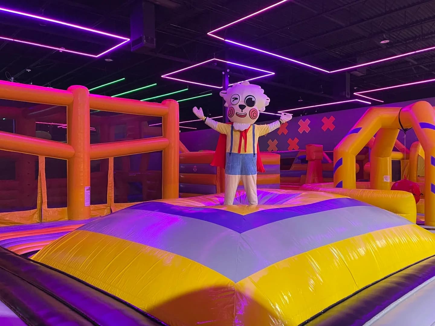 Larry the Llama at the Plano inflatable park