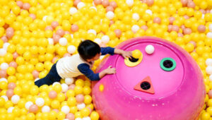 Super Llama Inflatable Park - Unforgettable Fun For Kids